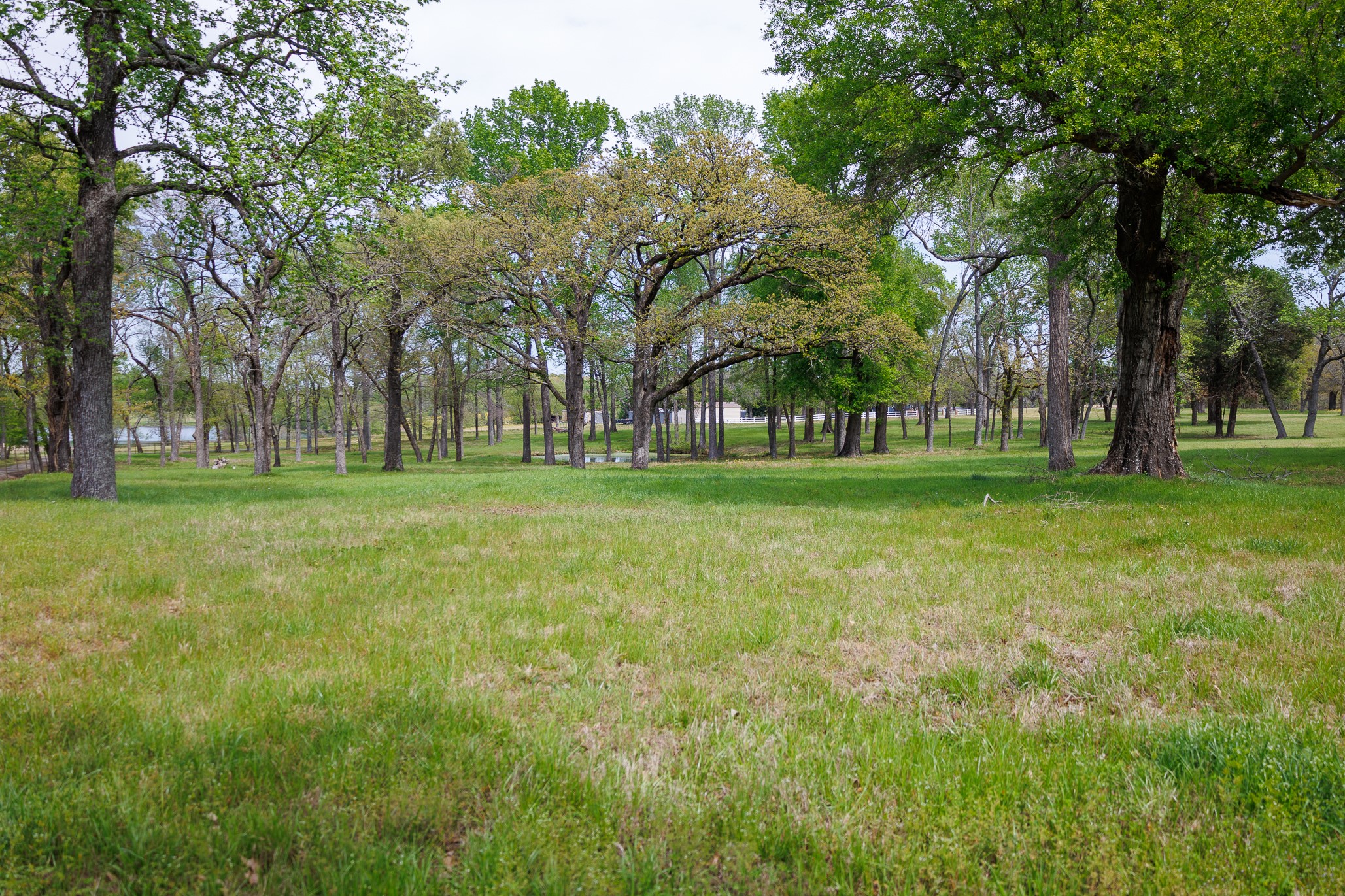 411 County Road 4313 Ben Wheeler TX 75754