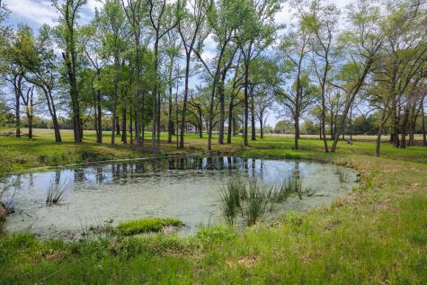 411 County Road 4313 Ben Wheeler TX 75754