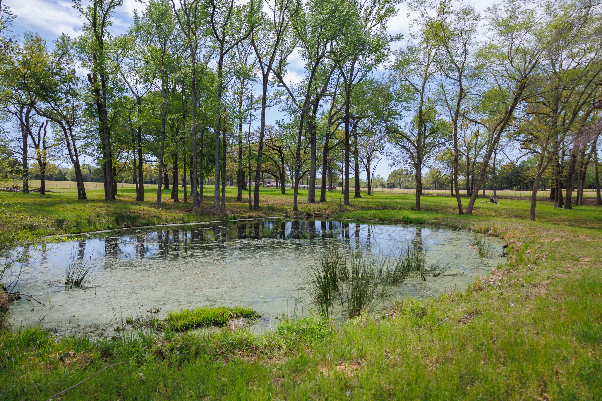 411 County Road 4313 Ben Wheeler TX 75754