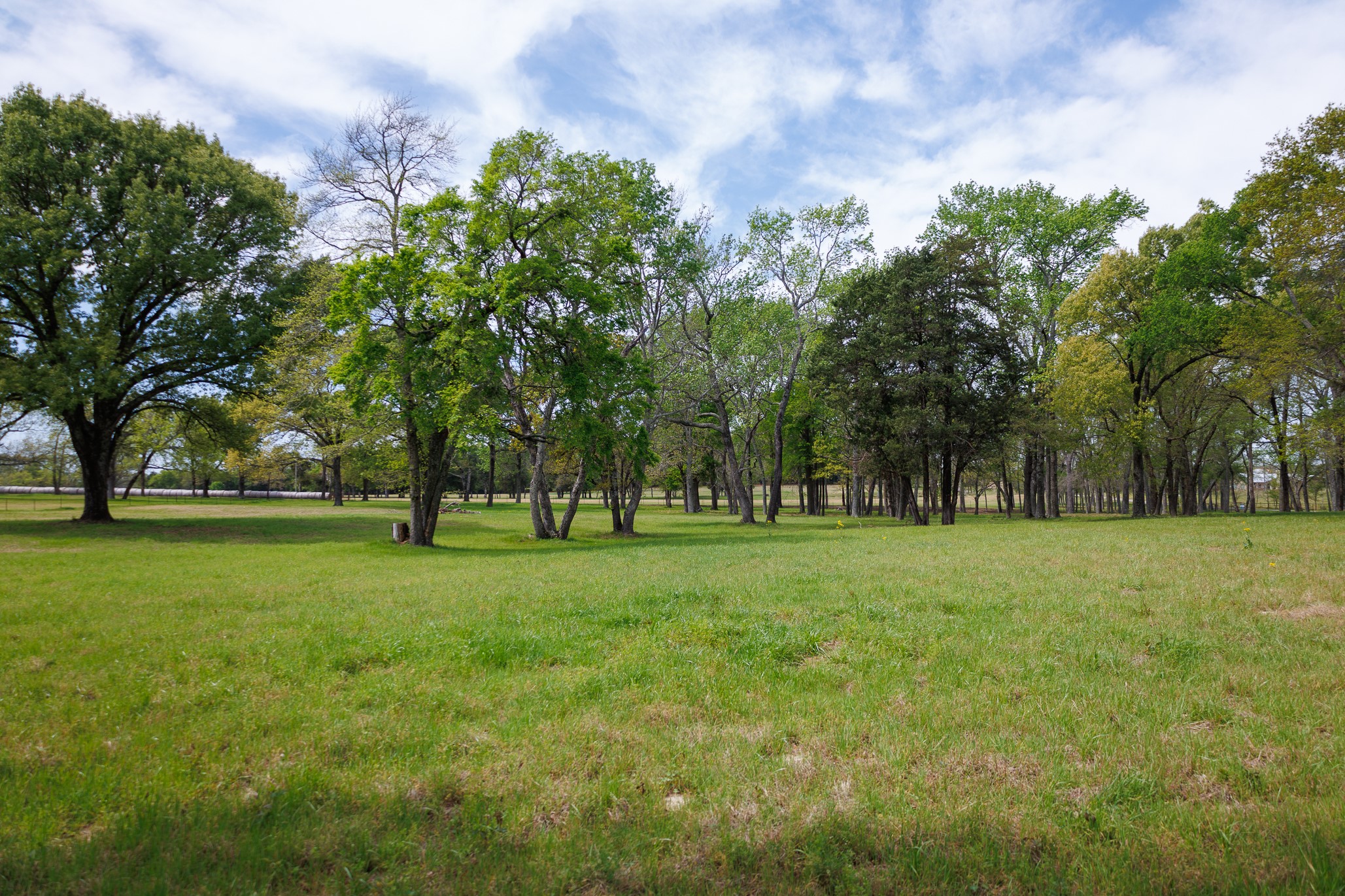 411 County Road 4313 Ben Wheeler TX 75754
