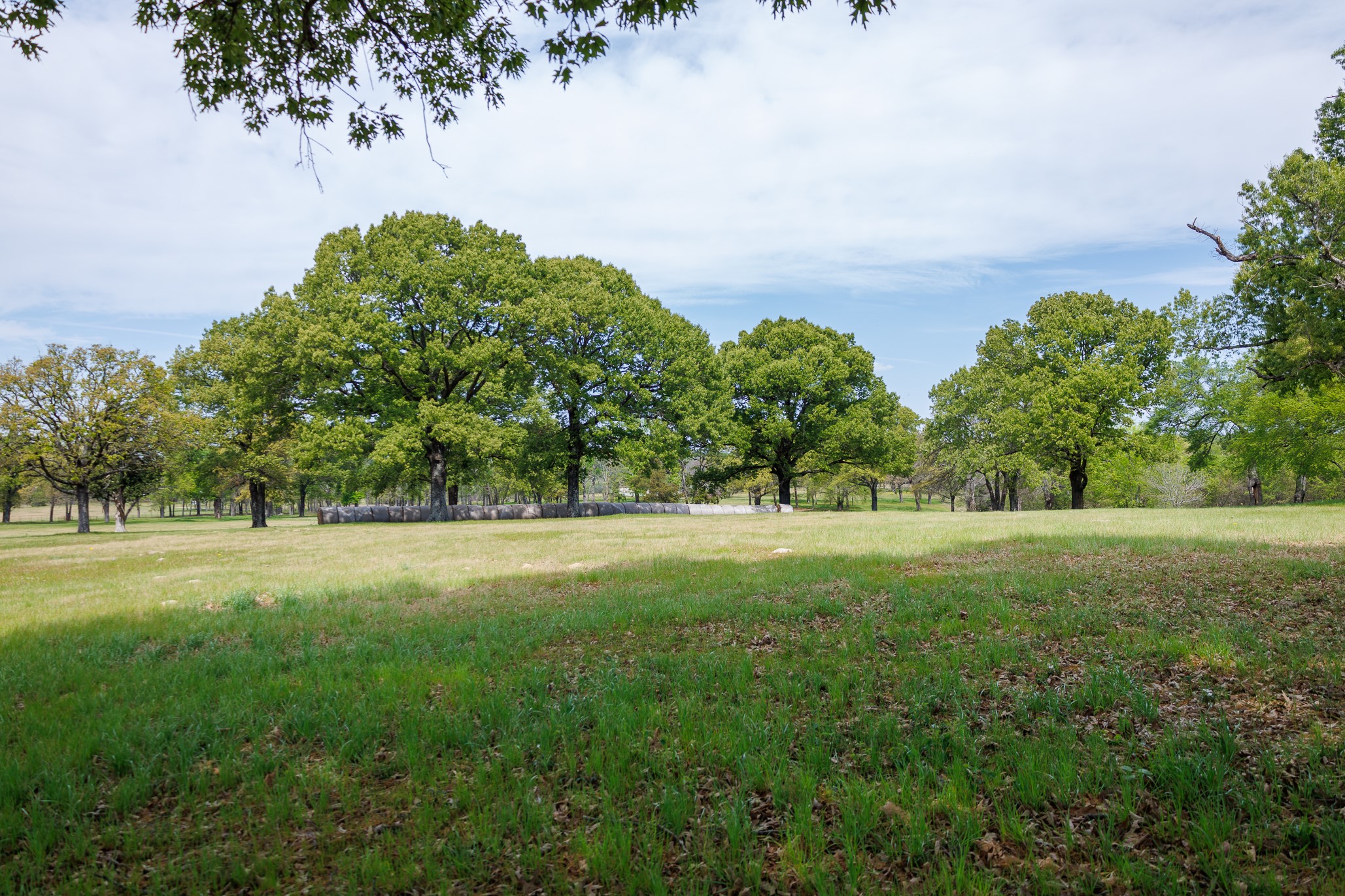 411 County Road 4313 Ben Wheeler TX 75754