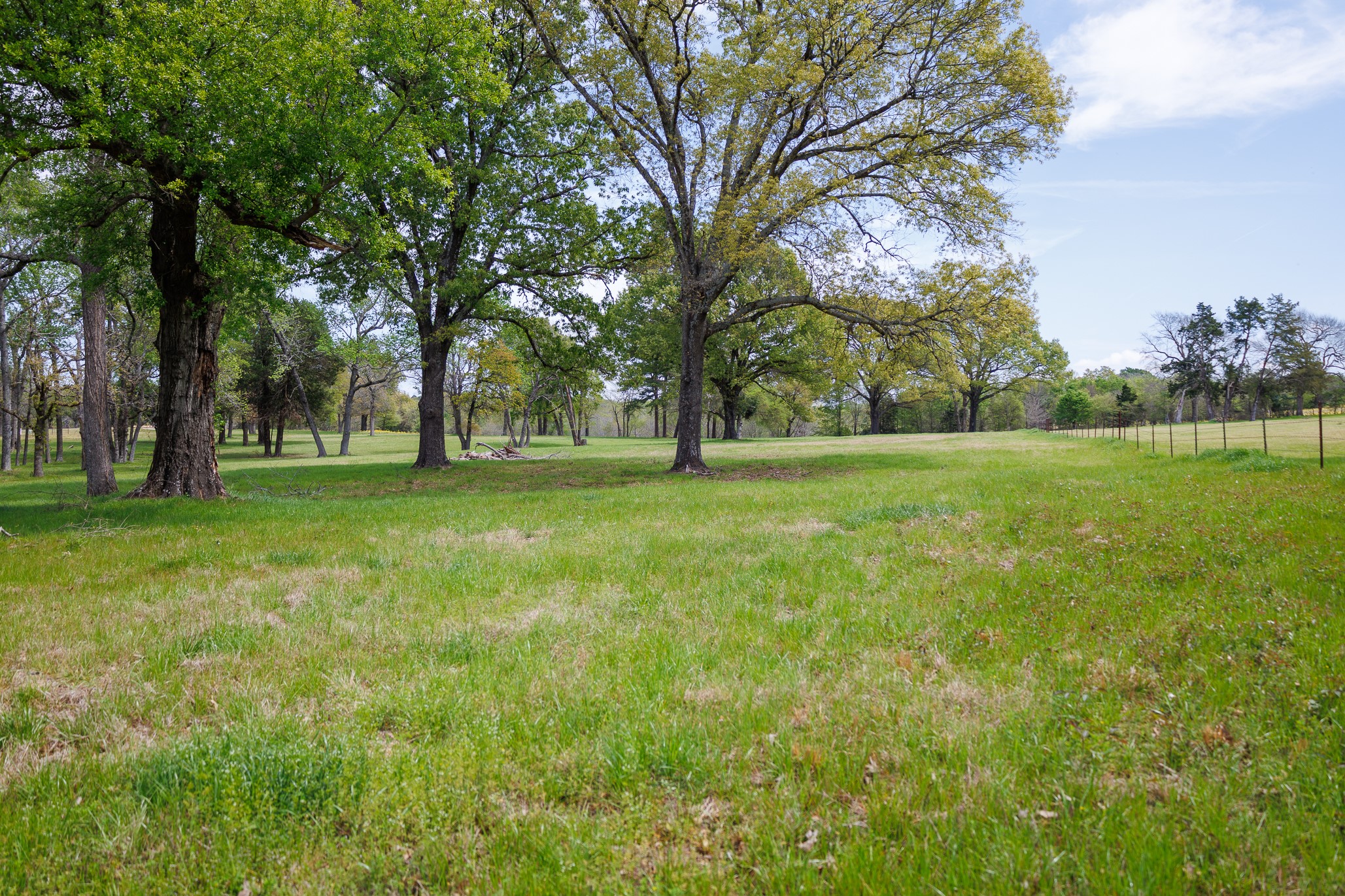 411 County Road 4313 Ben Wheeler TX 75754