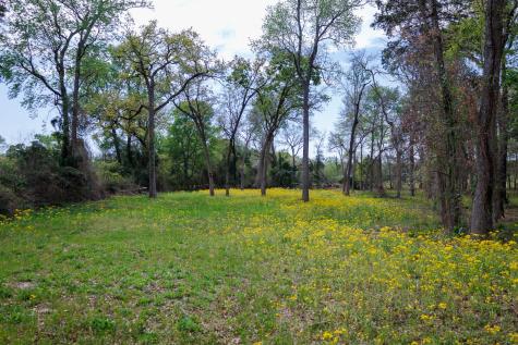 411 County Road 4313 Ben Wheeler TX 75754