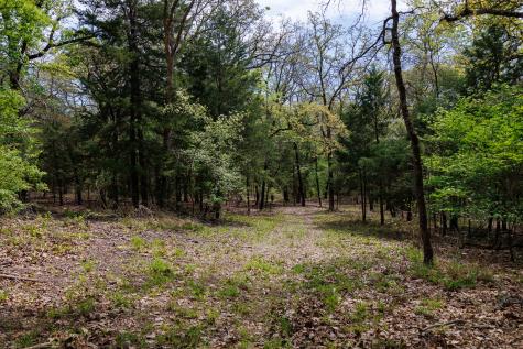 411 County Road 4313 Ben Wheeler TX 75754