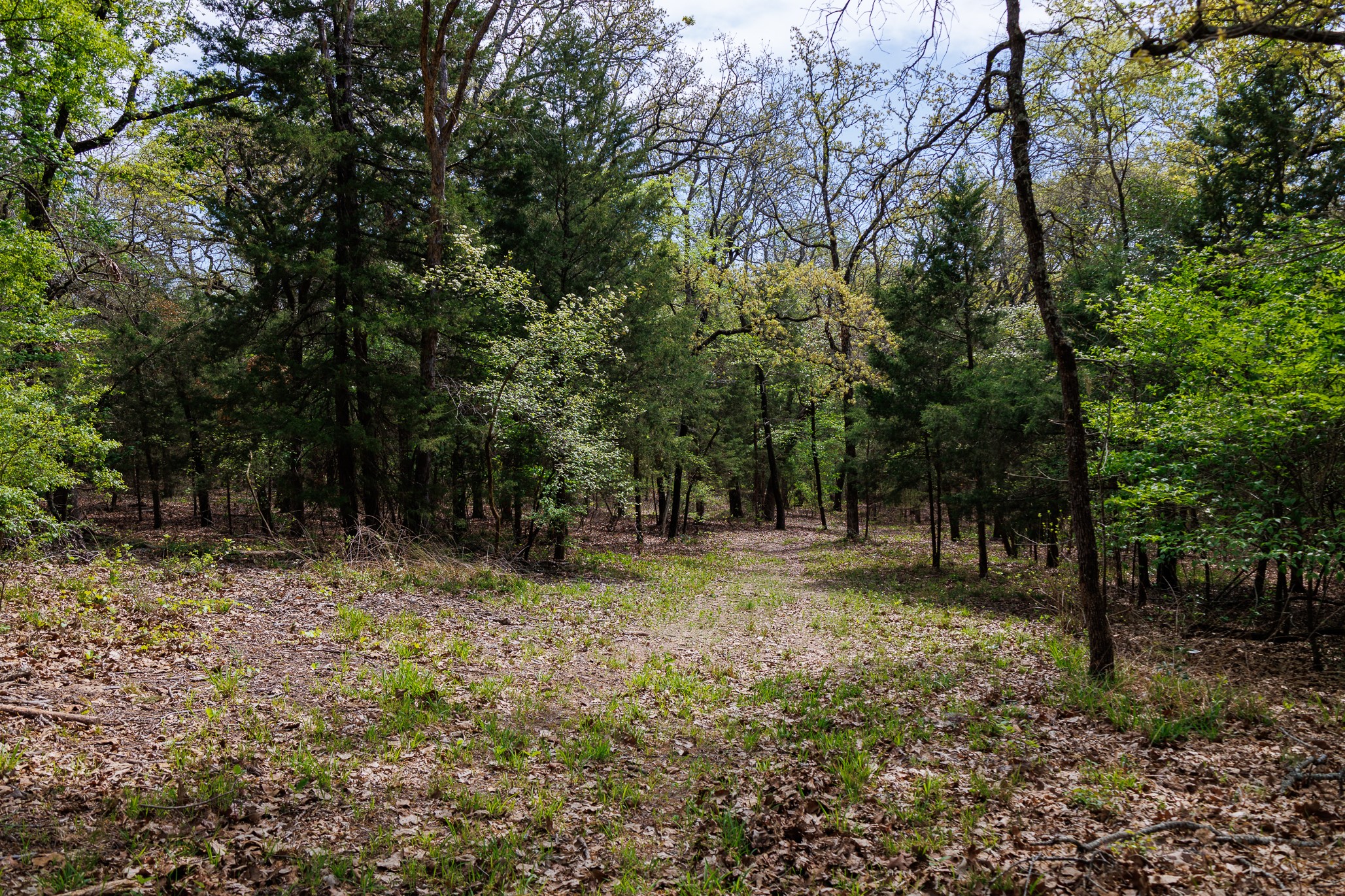 411 County Road 4313 Ben Wheeler TX 75754
