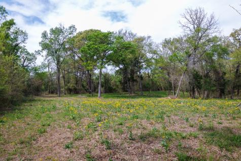 411 County Road 4313 Ben Wheeler TX 75754