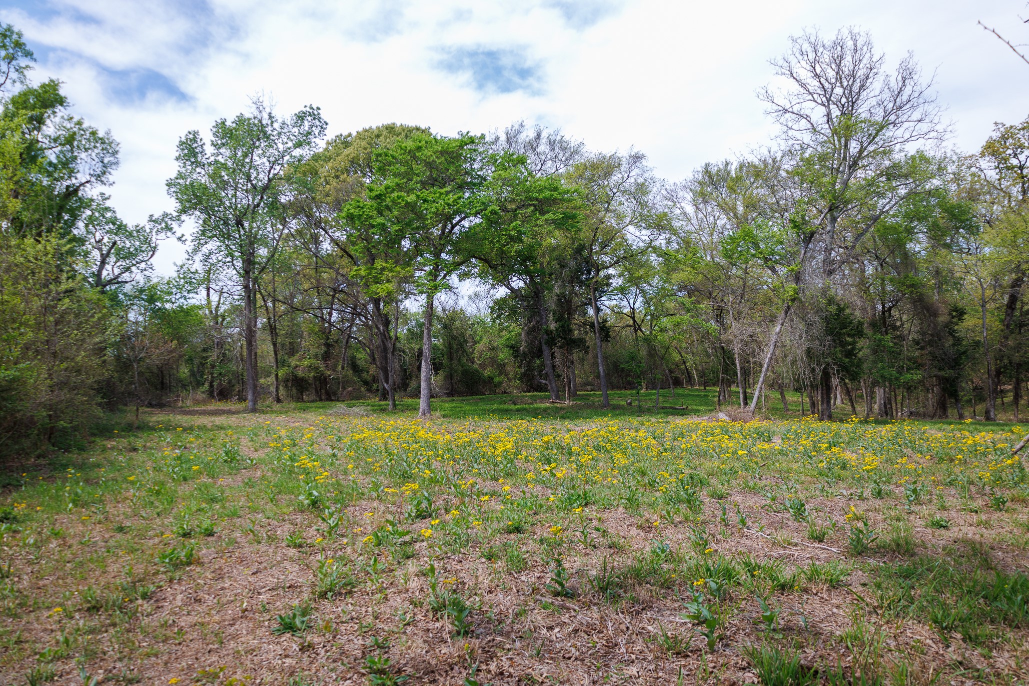 411 County Road 4313 Ben Wheeler TX 75754