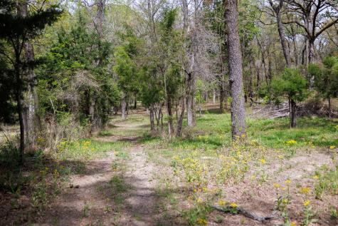 411 County Road 4313 Ben Wheeler TX 75754