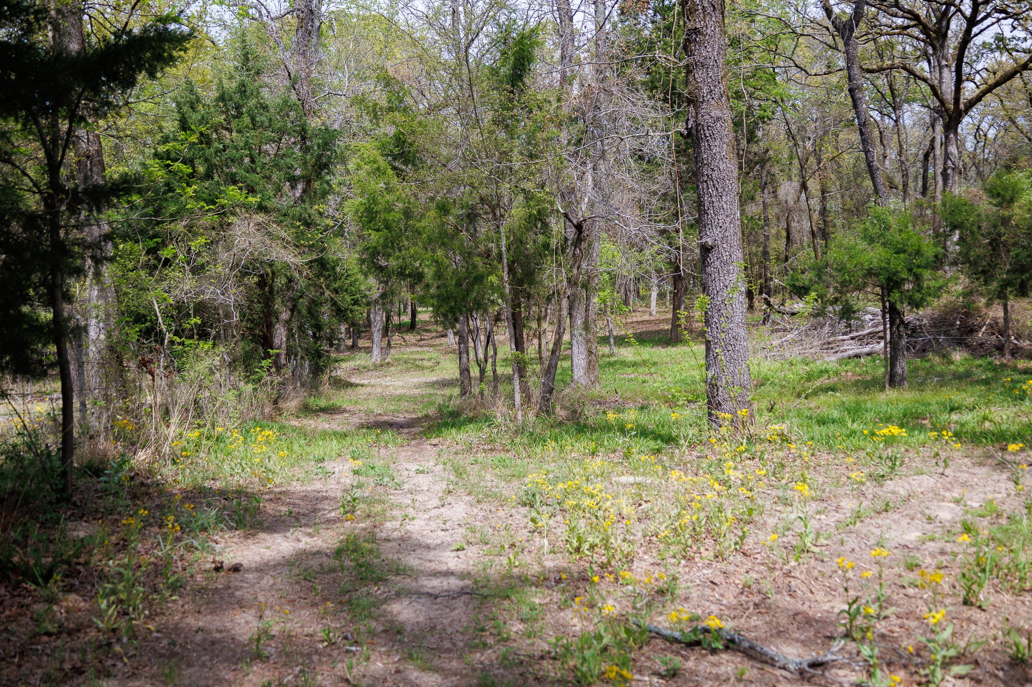 411 County Road 4313 Ben Wheeler TX 75754
