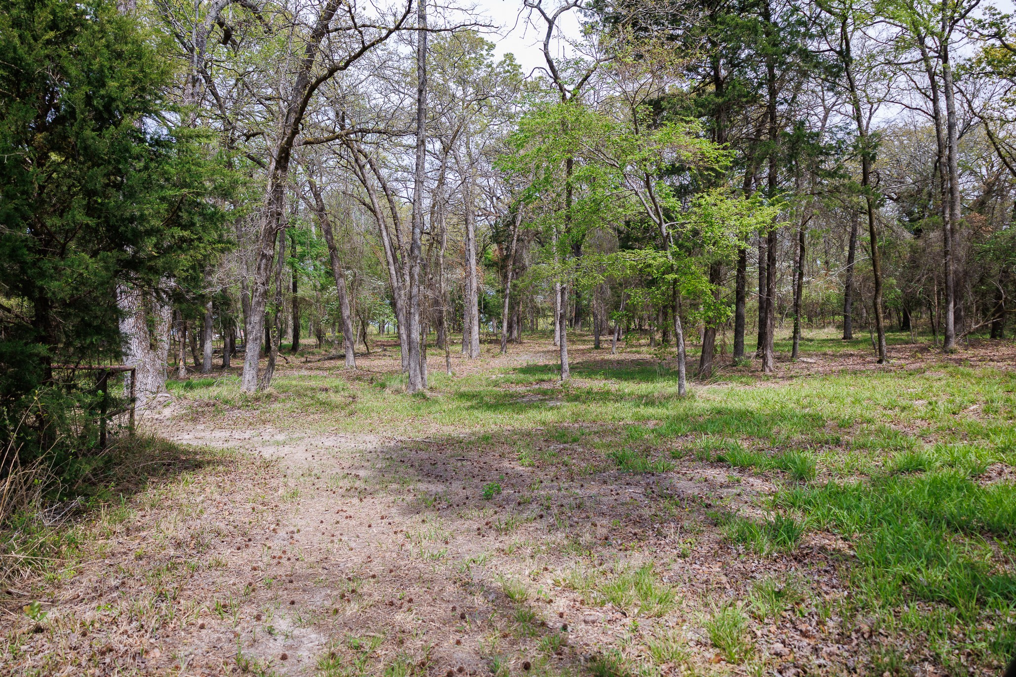 411 County Road 4313 Ben Wheeler TX 75754