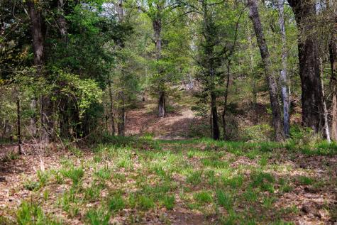 411 County Road 4313 Ben Wheeler TX 75754