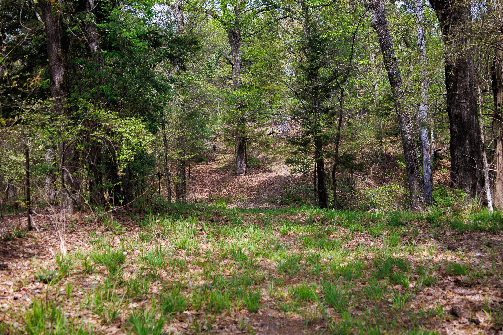 411 County Road 4313 Ben Wheeler TX 75754