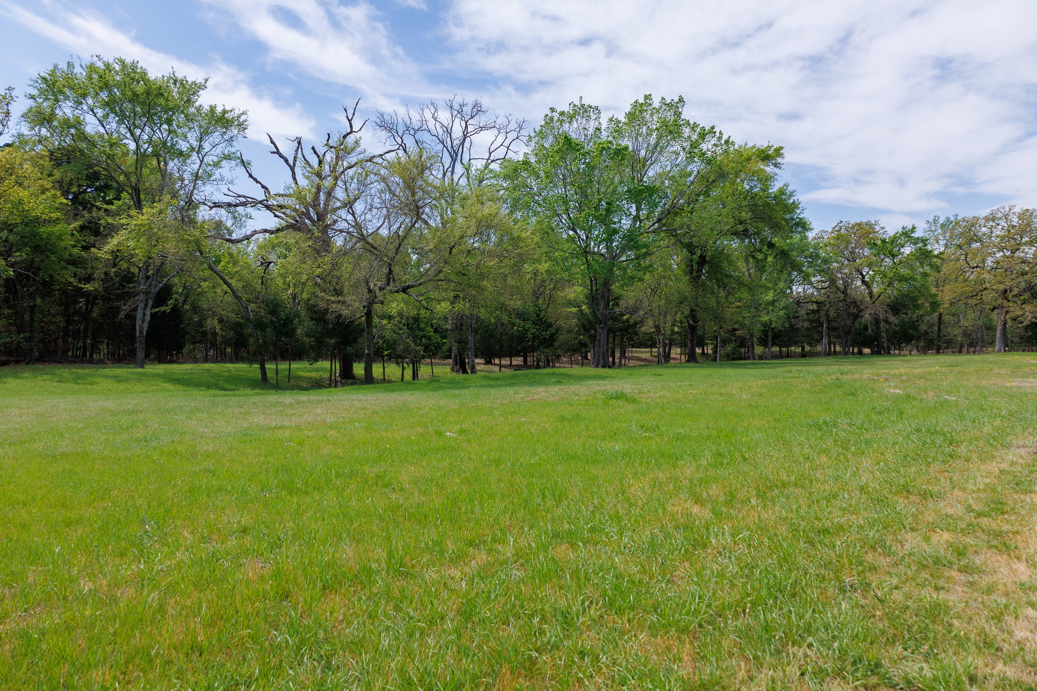 411 County Road 4313 Ben Wheeler TX 75754