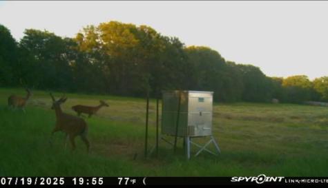13610 Highway 183 Rising Star TX 76471