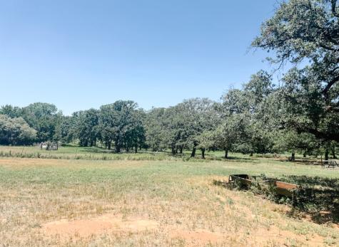 13610 Highway 183 Rising Star TX 76471