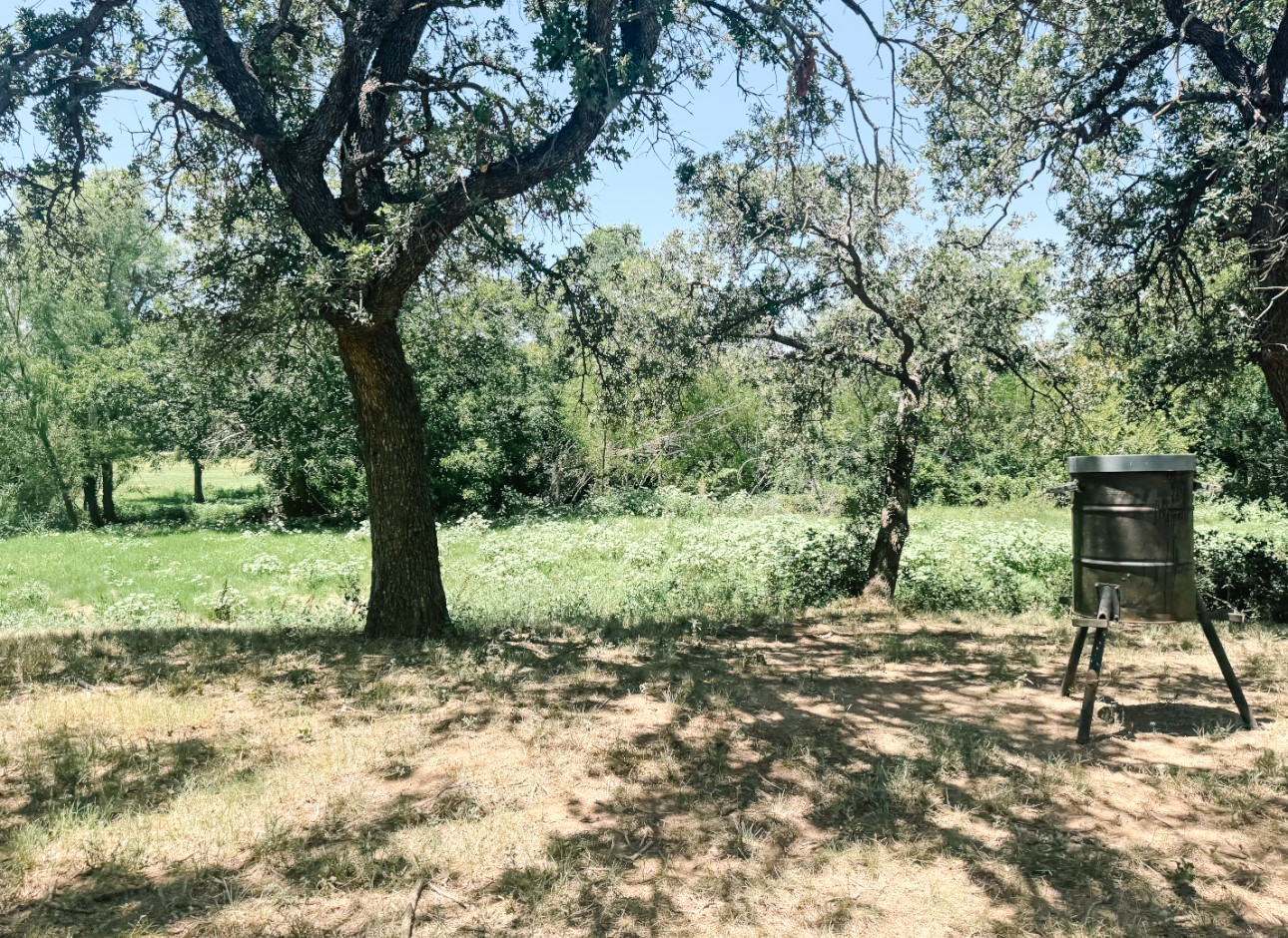 13610 Highway 183 Rising Star TX 76471