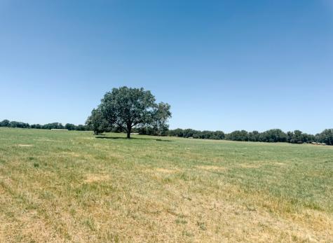 13610 Highway 183 Rising Star TX 76471