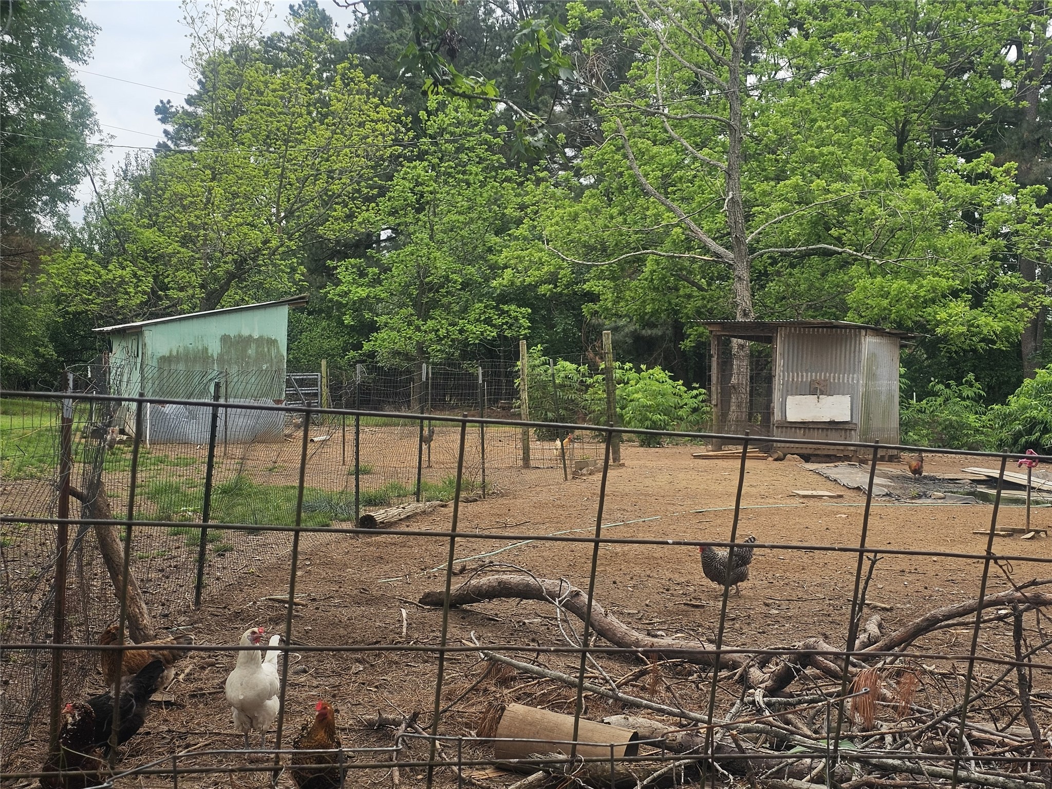 1350 County Road 45400 Paris TX 75462