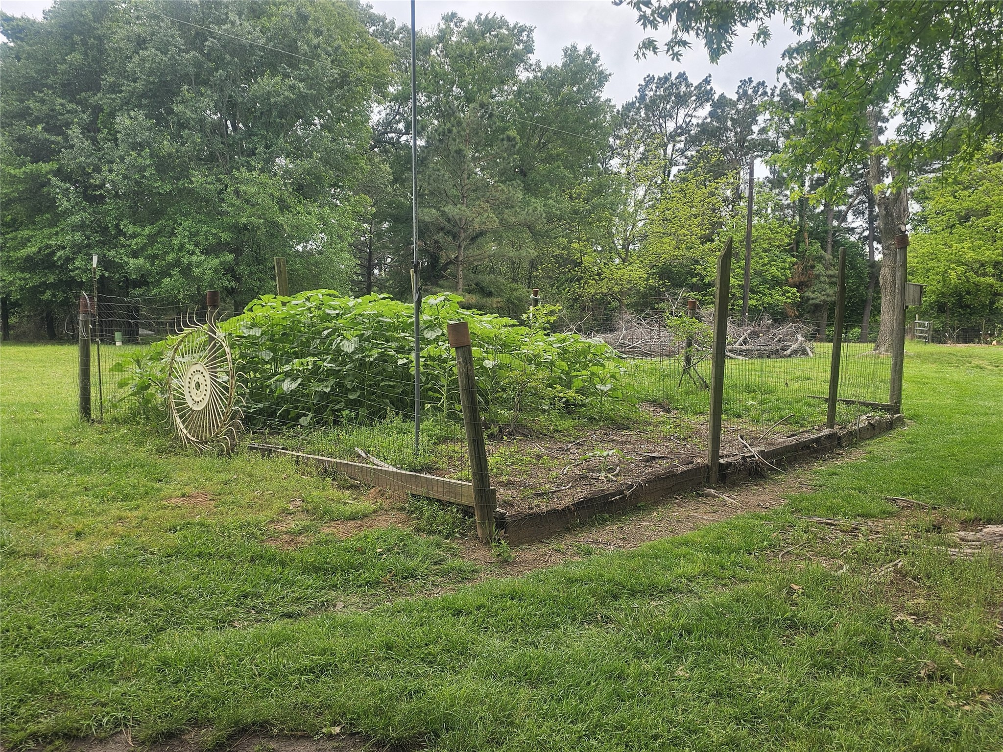 1350 County Road 45400 Paris TX 75462