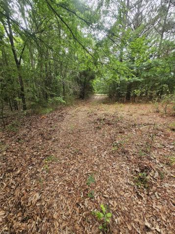 1350 County Road 45400 Paris TX 75462