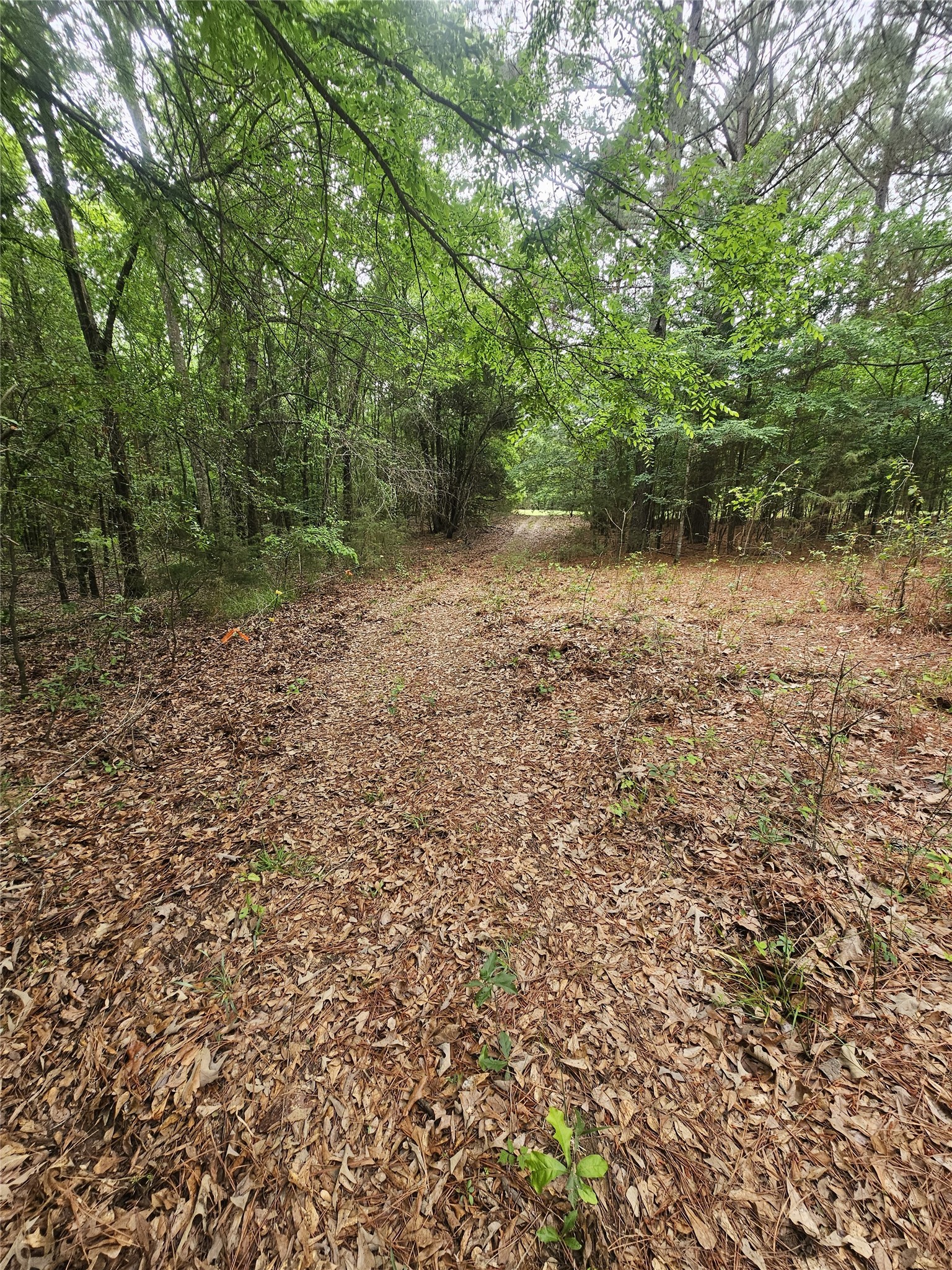1350 County Road 45400 Paris TX 75462