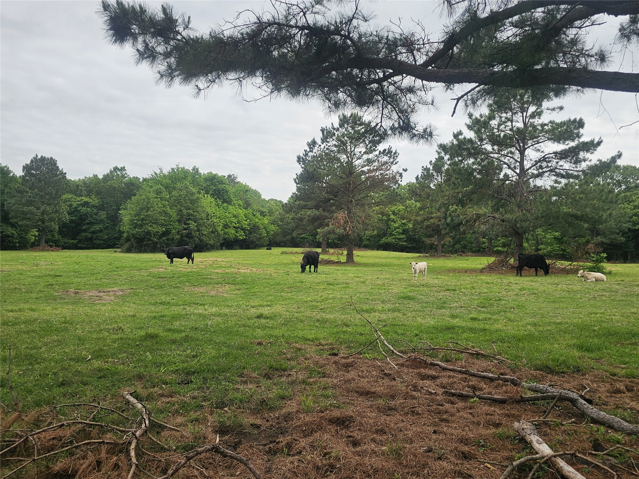 1350 County Road 45400 Paris TX 75462