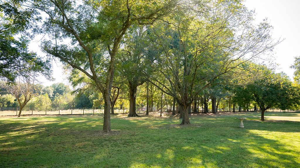 213 County Road 2320 Telephone TX 75488