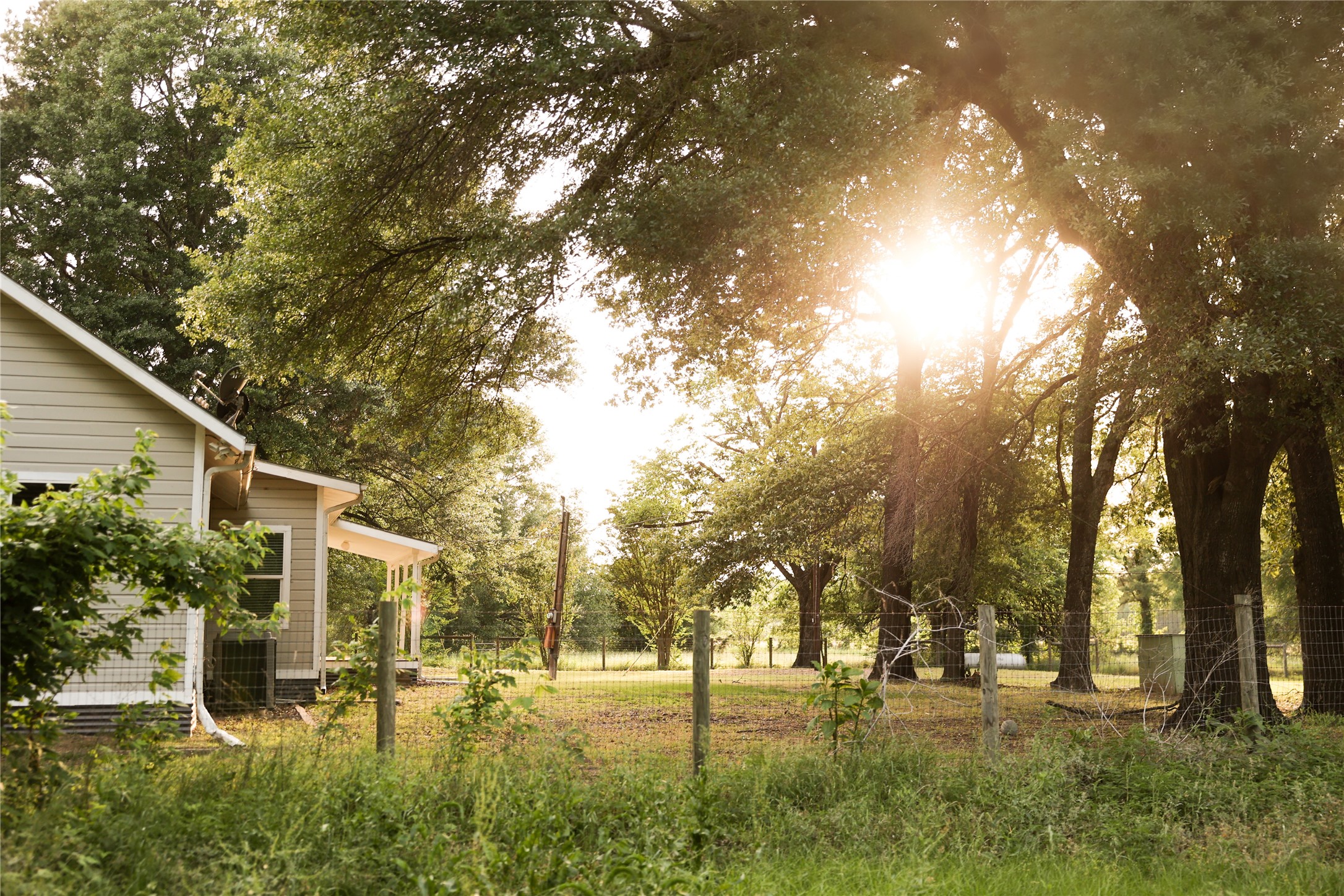 213 County Road 2320 Telephone TX 75488