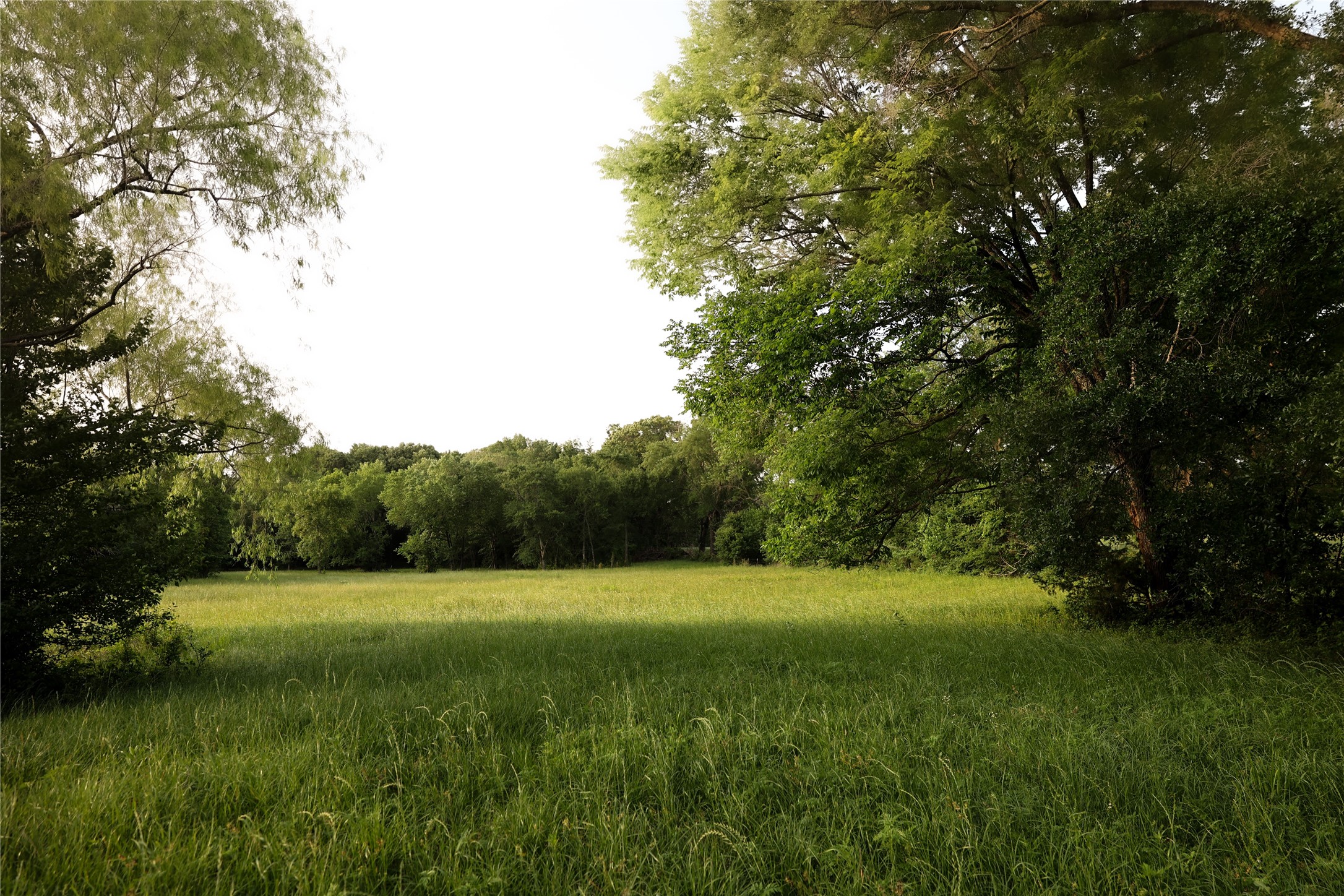 213 County Road 2320 Telephone TX 75488