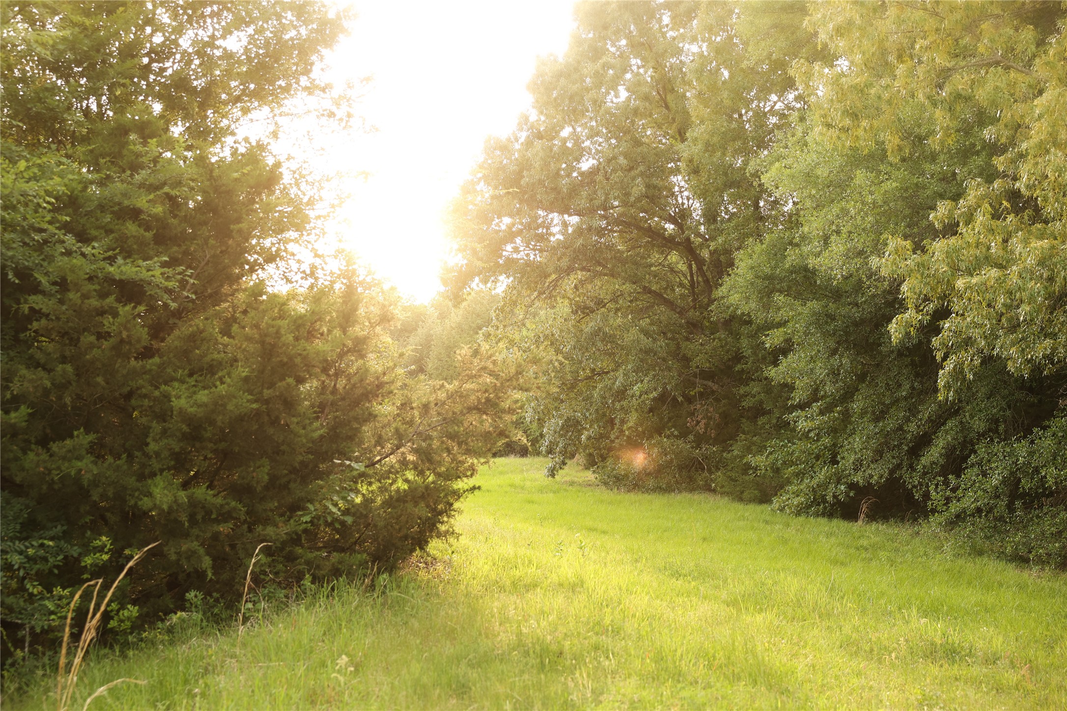 213 County Road 2320 Telephone TX 75488