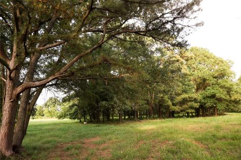 213 County Road 2320 Telephone TX 75488
