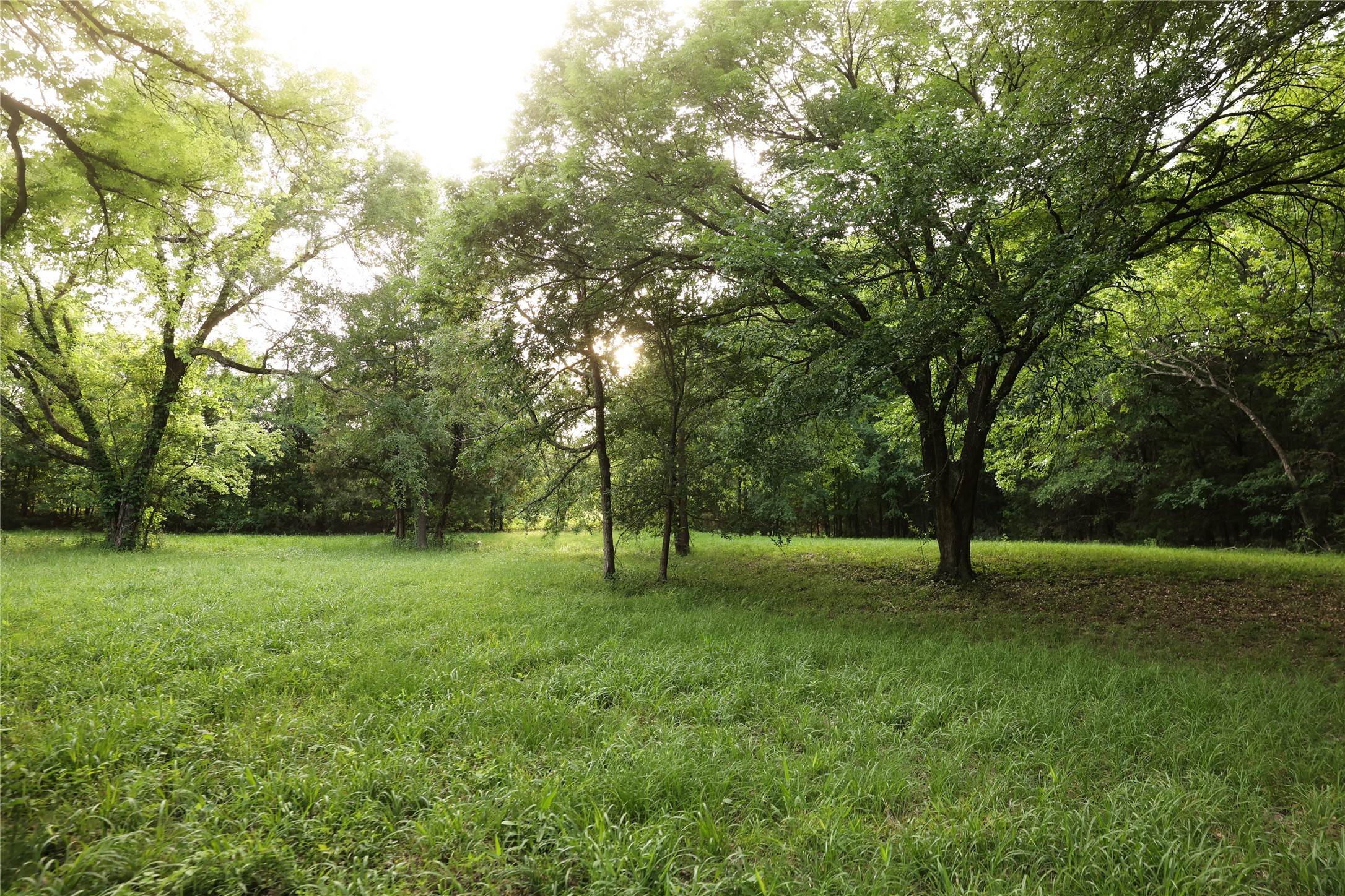 213 County Road 2320 Telephone TX 75488