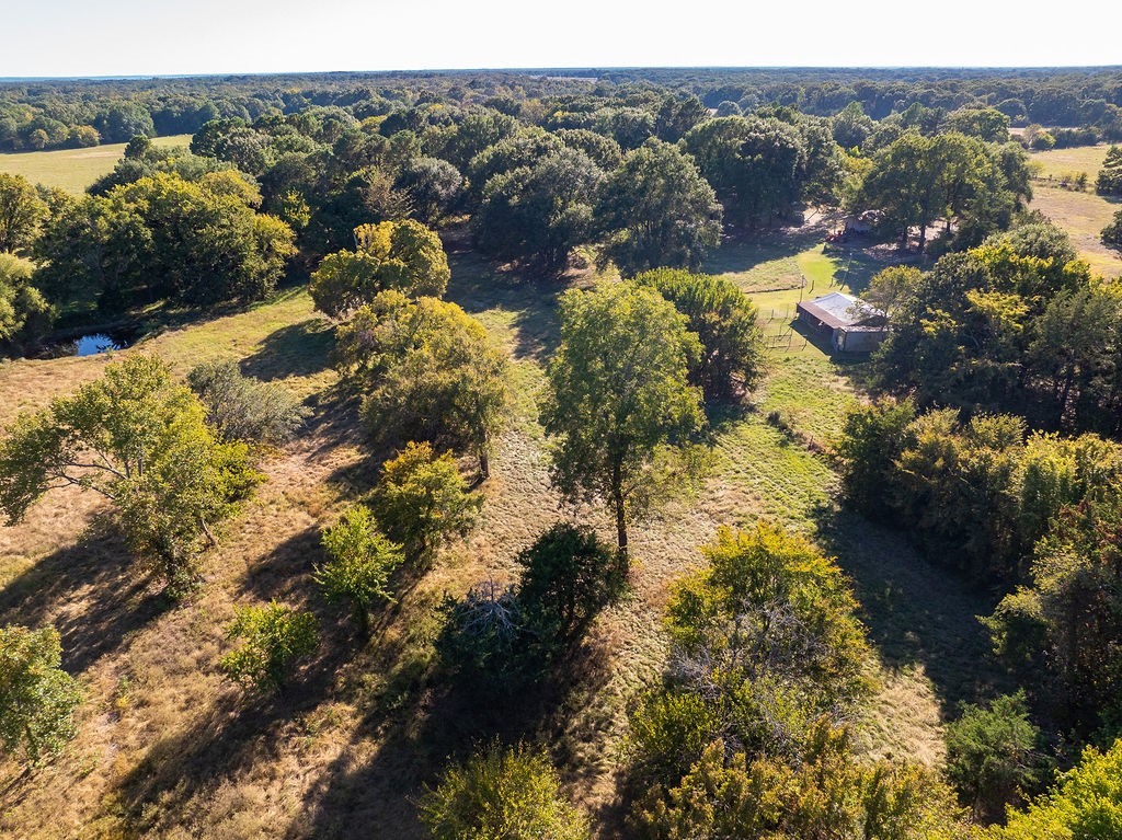213 County Road 2320 Telephone TX 75488