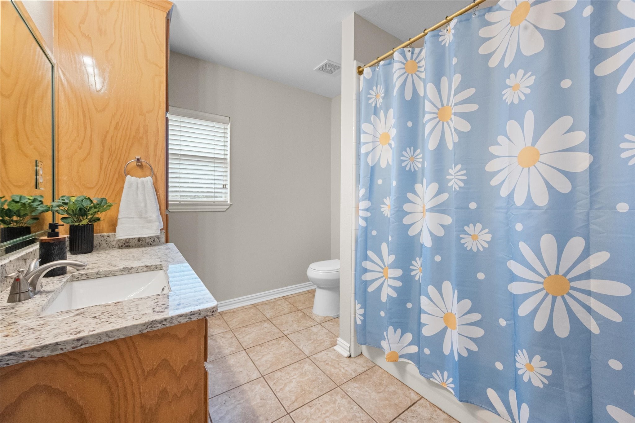 1116 Brook Arbor Drive Mansfield TX 76063
