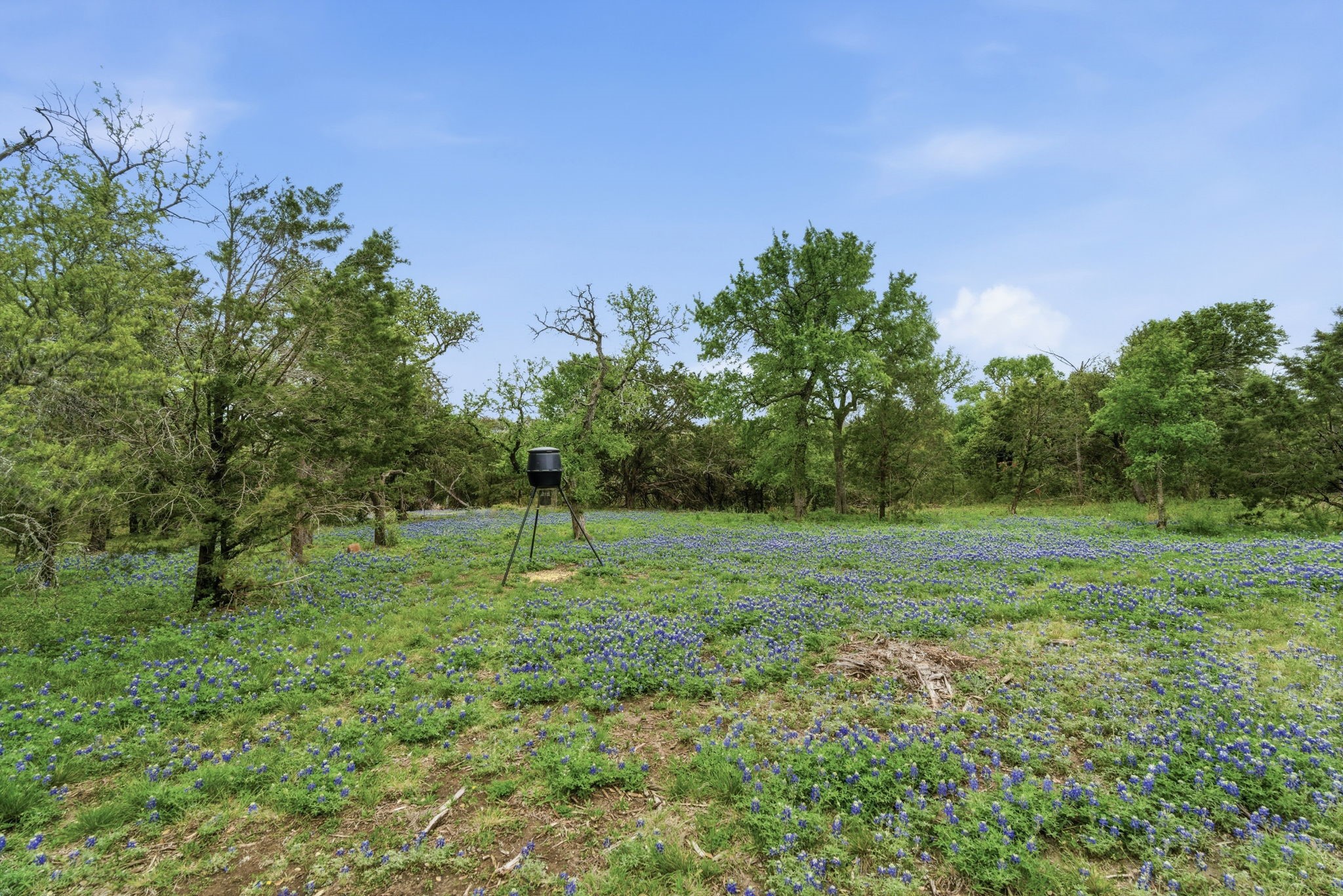 1052 Winecup Lane Weatherford TX 76085