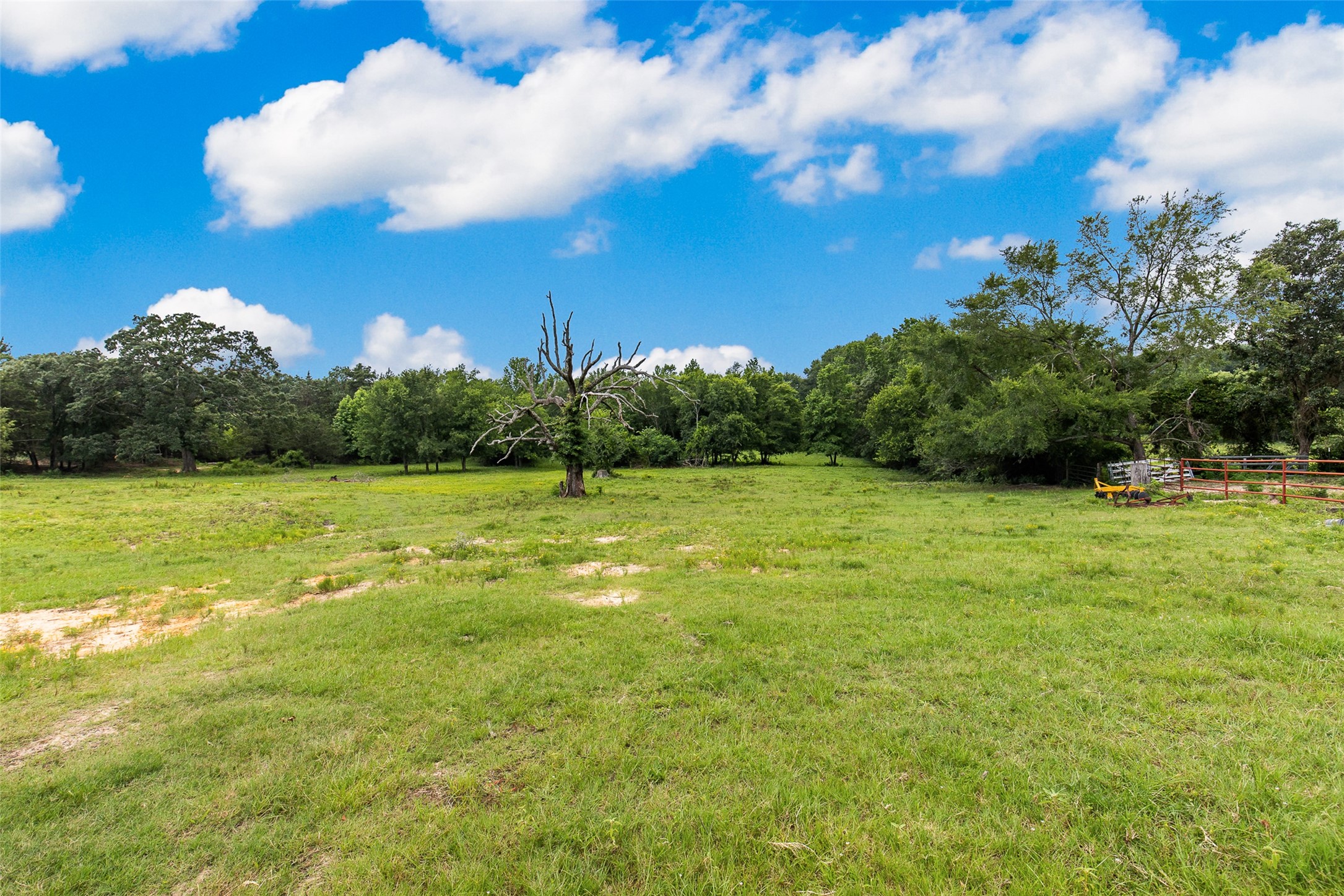 1517 County Road SW 3170 Winnsboro TX 75494
