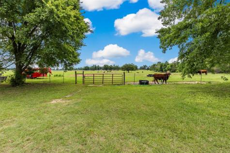 1517 County Road SW 3170 Winnsboro TX 75494