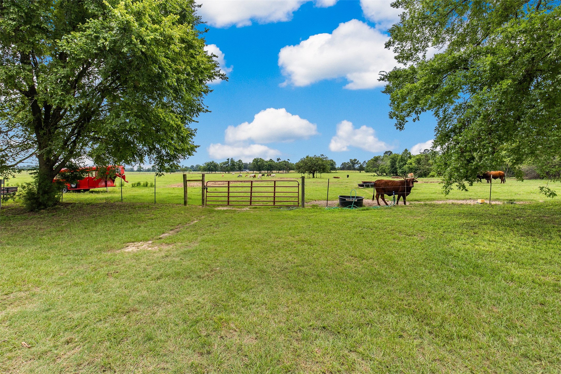 1517 County Road SW 3170 Winnsboro TX 75494