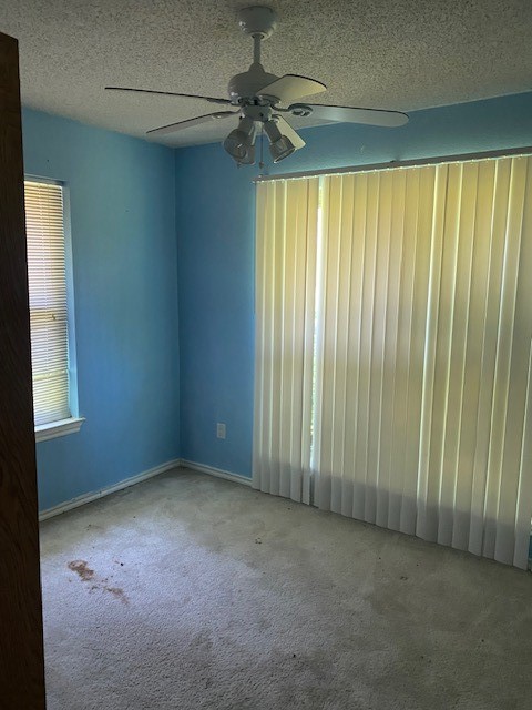 2031 Private Road 1183 Farmersville TX 75442