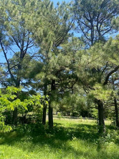 2031 Private Road 1183 Farmersville TX 75442