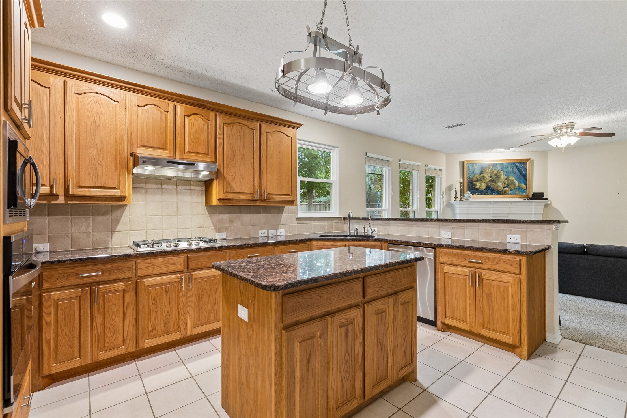 3705 Golden Aspen Drive Flower Mound TX 75028