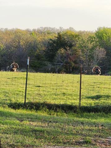 470 Private Road 3650 Paradise TX 76073