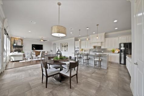 12408 Villa Milano Drive Fort Worth TX 76126