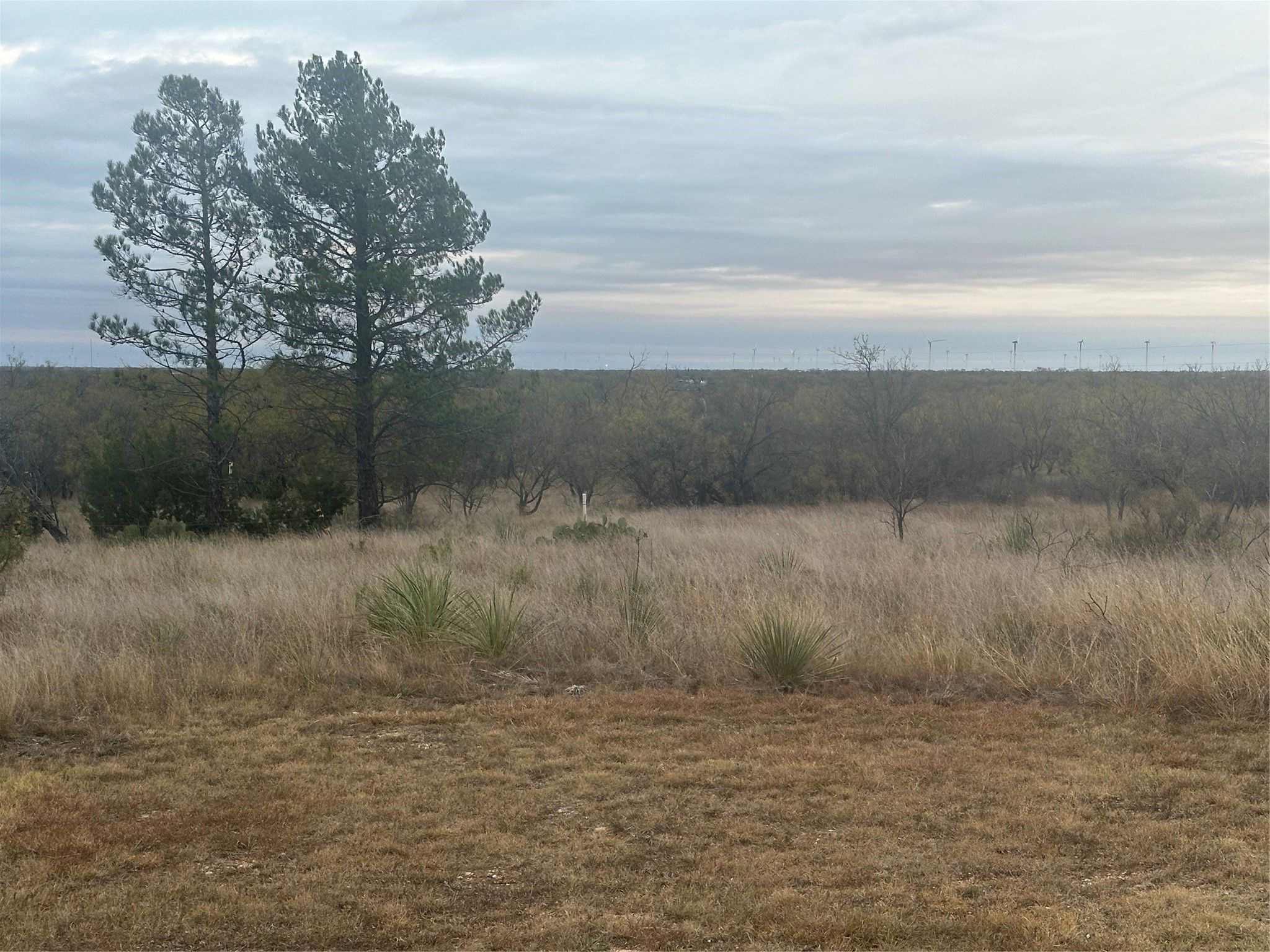 430 Cr 150 Abilene TX 79601