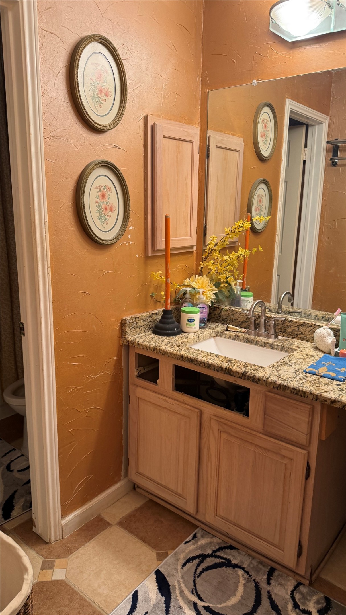 1226 Donegal Lane Garland TX 75044