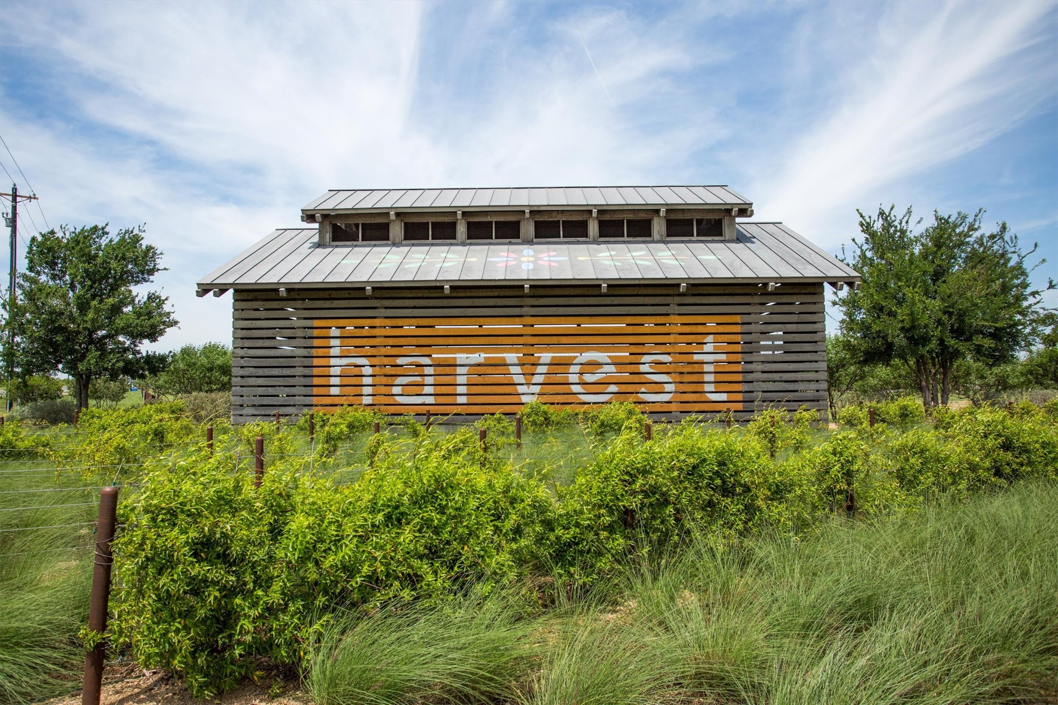 700 Gannet Trail Argyle TX 76226