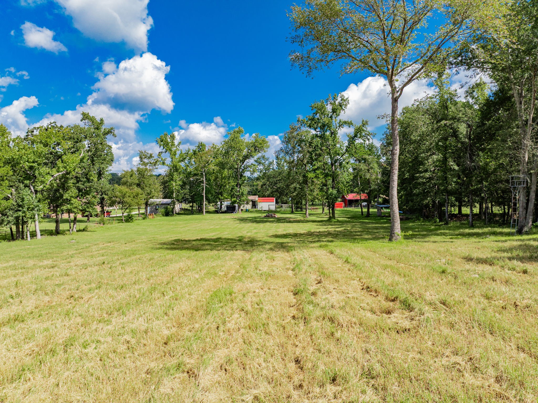 815 Vz County Road 4409 Ben Wheeler TX 75754