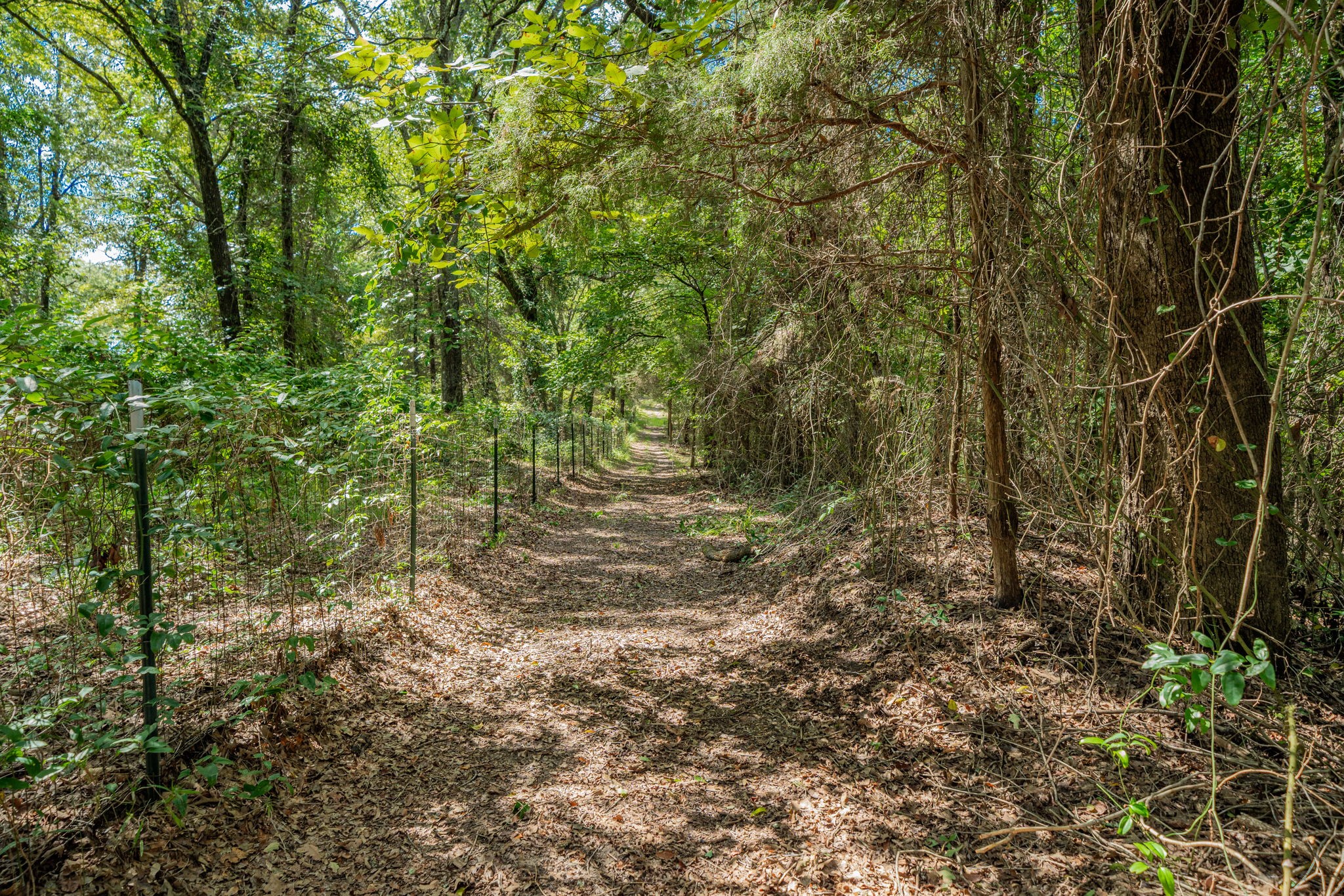 815 Vz County Road 4409 Ben Wheeler TX 75754
