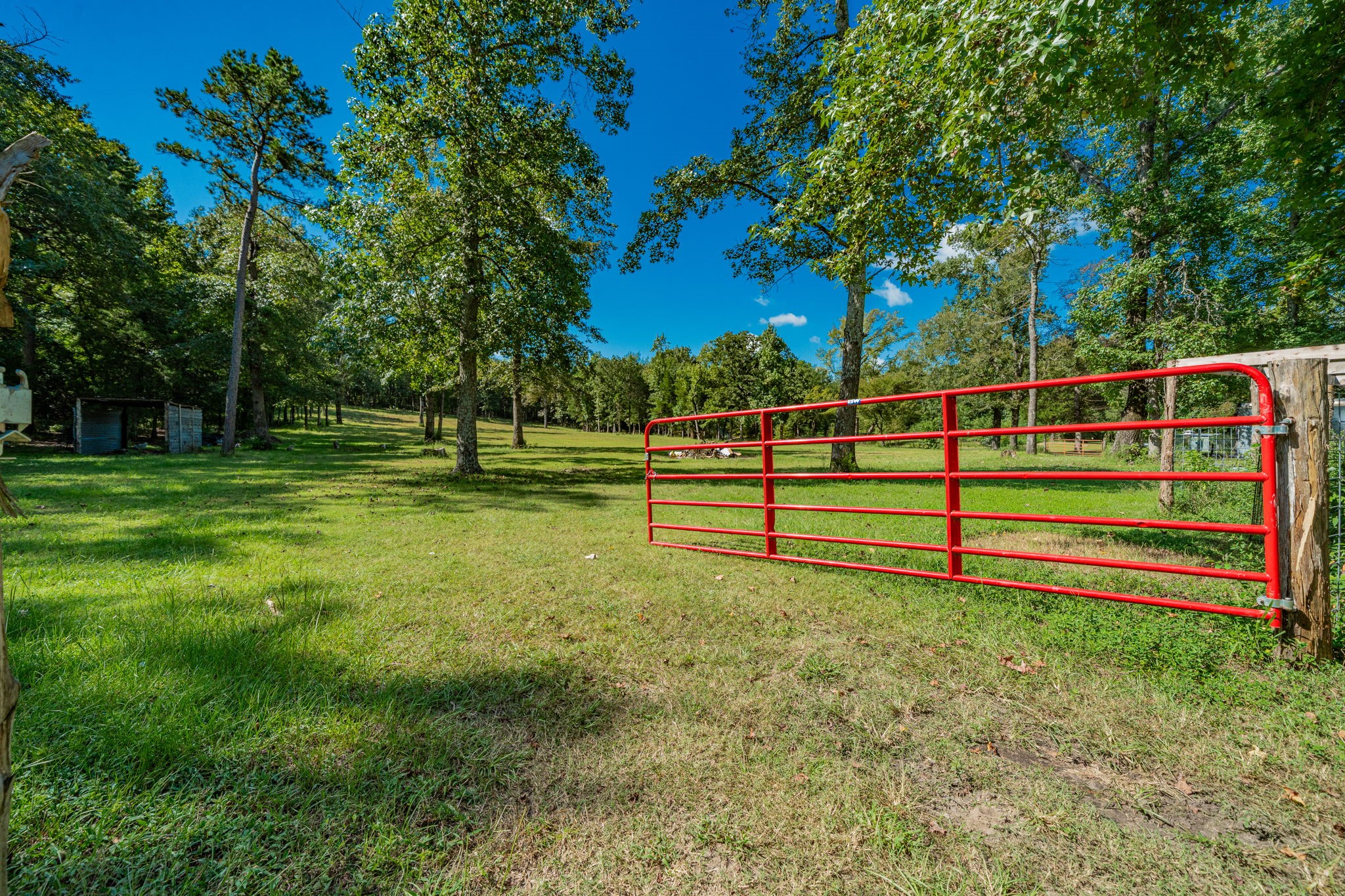 815 Vz County Road 4409 Ben Wheeler TX 75754