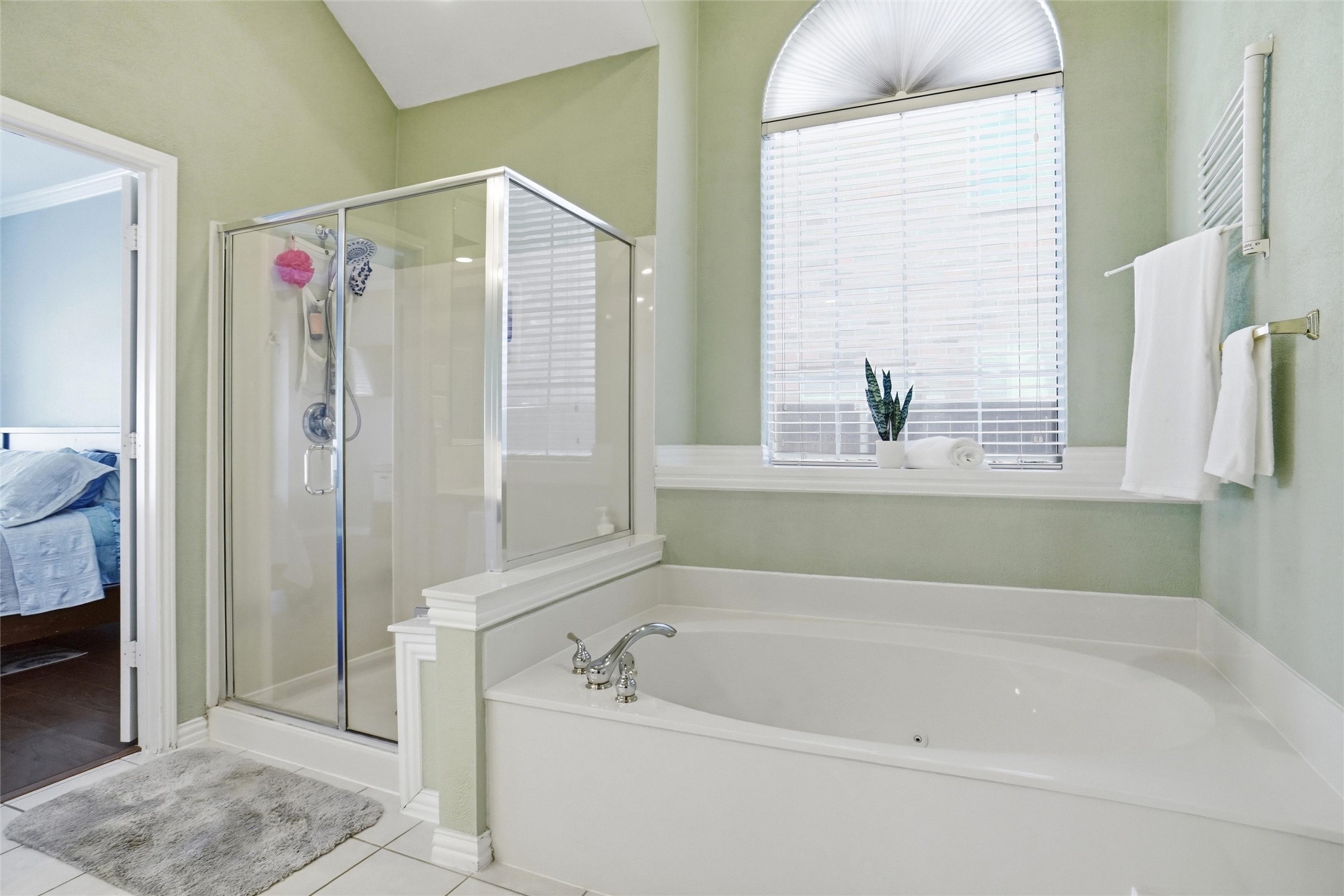 2813 Halsey Drive Flower Mound TX 75028